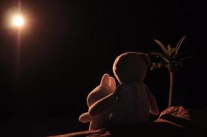 muñecos de oso de peluche y conejo actuando como pareja sentados en una madera con el árbol y mirando la luna en la noche romántica. foto