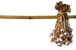 Garlic from Thailand hanging to dry on bamboo wood. They use to cook for many kind of Thai food photo