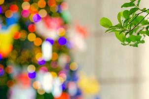 Green leaves tree with blurred focus of colorful Christmas tree for Holiday decoration background. photo