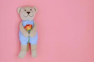 A single smiling Teddy Bear holding rose flower on pink color background with space for text. photo