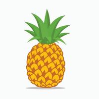 dibujos animados de ilustración de vector de fruta de piña