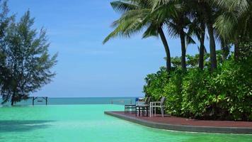 swimming pool with coconut palm tree and sea background video