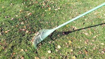 Unrecognizable person rakes dry yellow leaves in autumn garden video