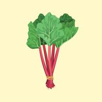 ilustración vectorial de un montón de ruibarbo. frutas y verduras de verano. vector