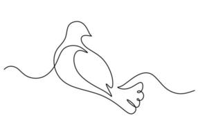 One continuous single line of pigeon isolated on white background. vector