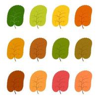 Set of twelve autumn leaves in different autumn colors. Vector illustration.