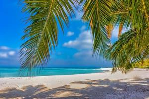 Sunny tropical island beach with palm tree leaves, shadows on white sand, sunny sky turquoise sea water. Island vacation, hot summer day landscape. Tranquil beautiful peaceful nature, beach background photo