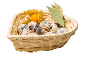 Quail eggs on white photo