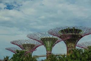 Singapore, Thailand, 2022 -Gardens by the Bay photo