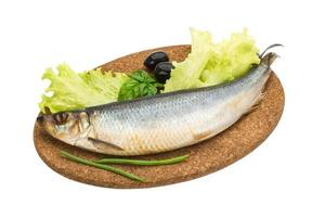 Salted Herring on white photo