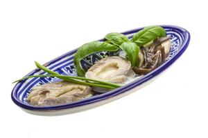 Herring fillet in a bowl on white background photo