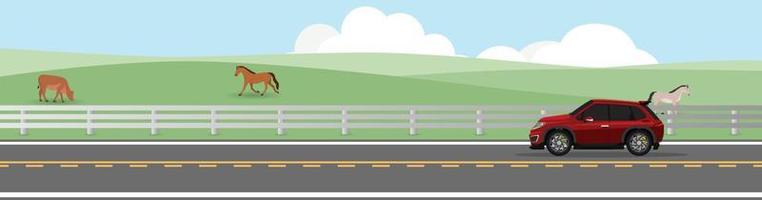 Sport red car driving on asphalt road. Driving on country road with road barrier of side ranch. Background of mendow are cows and horses under blue sky. Copy Space Flat Vector. vector
