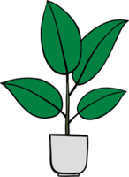 simplicidade borracha fig planta desenho à mão livre design plano. png
