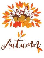 Set Autumn with leaves vector