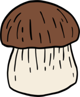 doodle freehand sketch drawing of bolete mushroom. png