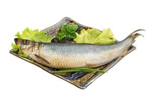 Salted Herring on white photo