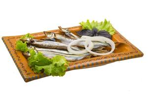 Dried Capelin on white photo