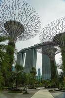 Singapore, Thailand, 2022 -Gardens by the Bay photo