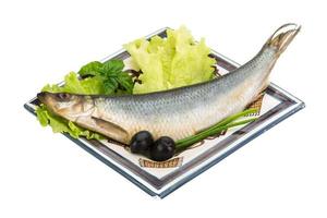 Salted Herring on white photo