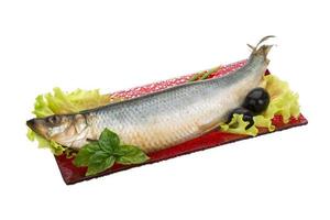 Salted Herring on white photo