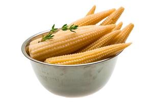 Baby corn on white photo