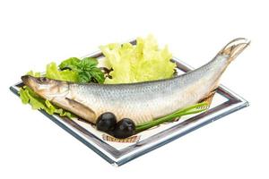 Salted Herring on white photo