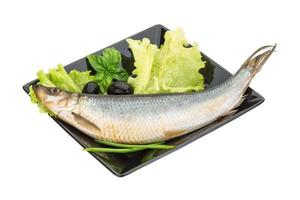 Salted Herring on white photo