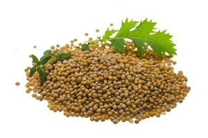 Mustard seeds on white background photo