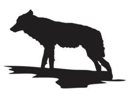 dier - wolf silhouet png