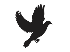 oiseau - silhouette de colombe volante png