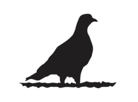 oiseau - silhouette de colombe perchée png