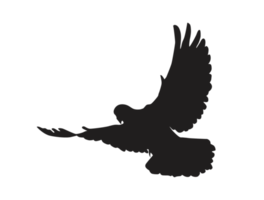 oiseau - silhouette de colombe volante png