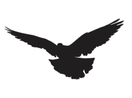 Bird - flying dove silhouette png