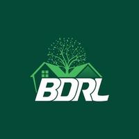 diseño de logotipo de empresa, logotipo bdrl, diseño de logotipo vector