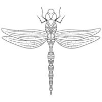 Dragonfly outline icon. Isolated on white background. vector