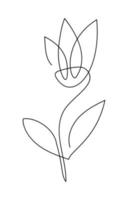 Flower tulip vector one line art logo. Minimalist contour drawing monoline. Continuous line artwork for banner, book design, web illustration