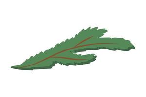 Simple green spruce branch. vector illustration