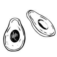 Avocado cut, sketch, drawing, simple, easy, elementary vector