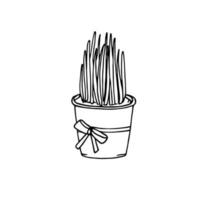 Potted grass, black lines, sketch, cute. vector