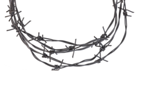 Barbed wire on a transparent isolated background. PNG. png