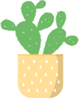 opuntia ficus indica, de indisk fikon opuntia, fikon opuntia, eller taggig päron kaktus illustration i en pott png