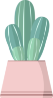 ilustração em vaso de cacto euphorbia ingens png