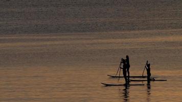 silhouetten van een mensen Aan staan omhoog peddelen bord Bij zonsondergang, nai harn strand, phuket, Thailand video