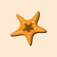 estrella de mar vectorial en color naranja con una sombra vector