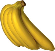 mazzo di banane png