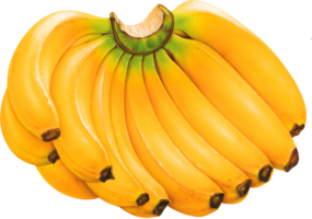 mazzo di banane png