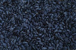 A pattern of many unprocessed fried sunflower seeds in a black shell. photo