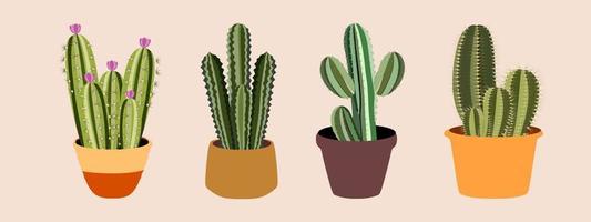 Cactus icon in flat style. Cactus house plant in pot and with flowers. Various decorative cacti with thorns.