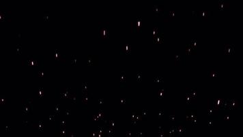 Schleife fließen rosa weiße Partikel auf schwarzem Hintergrund video