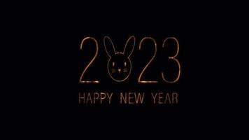 2023 Happy New Year with rabbit face  golden text video